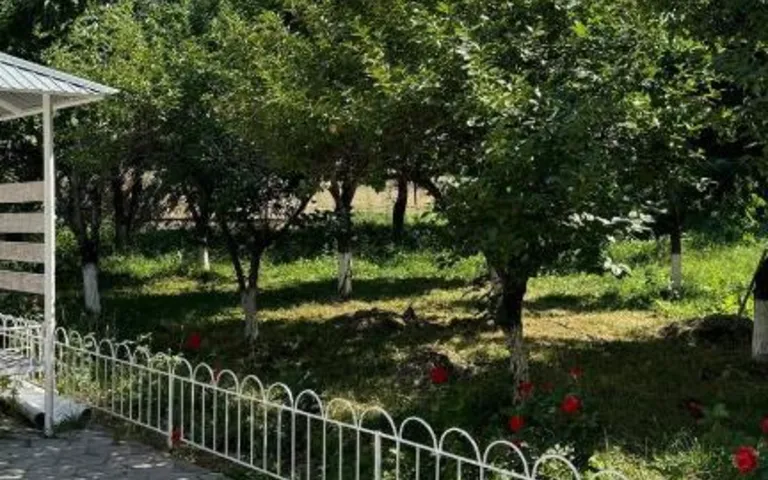 Отель в Оше